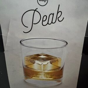 W&P Peak Whiskey Glass with Ice Mold
